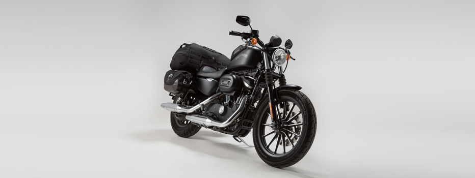 Harley-Davidson Sportster Iron 883 (XL883N)